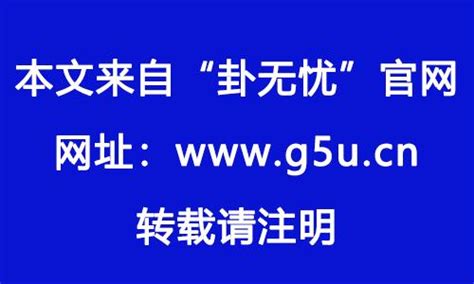 1982年属相|1982年属什么生肖的命 1982年属狗是什么命